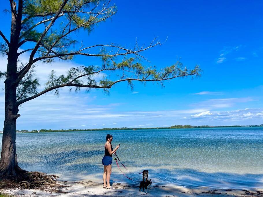 New Dog Paradise - Near The Beach Img & Downtown Bradenton Esterno foto