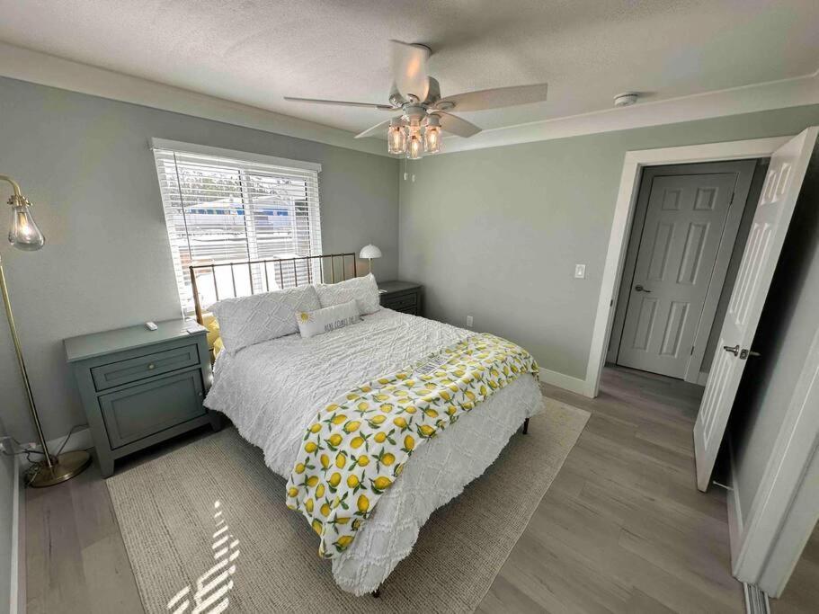 New Dog Paradise - Near The Beach Img & Downtown Bradenton Esterno foto